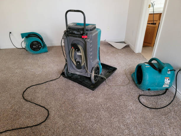 Best 24/7 water damage repair  in Beeville, TX