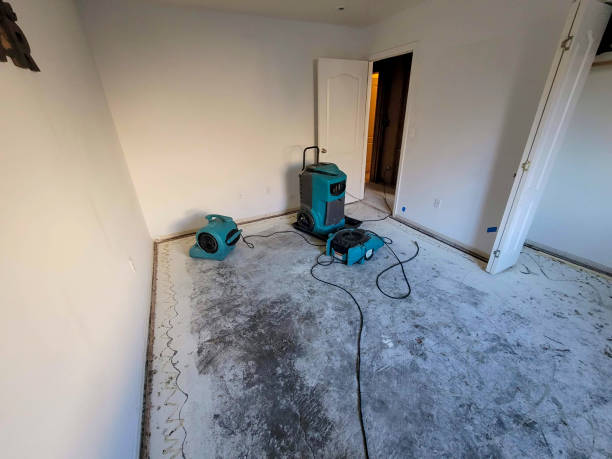 Best Water damage restoration near me  in Beeville, TX