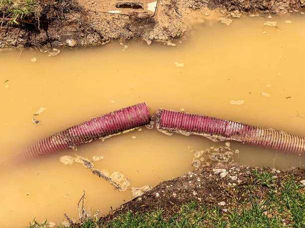 Best Commercial water damage restoration  in Beeville, TX